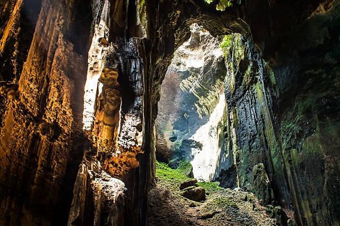 Hang động Gomantong là nơi cư trú của hàng triệu con dơi, con gián cùng các ký sinh trùng. Tuy nhiên, với vẻ đẹp hoang sơ, nơi đây vẫn thu hút một bộ phận du khách muốn khám phá, trải nghiệm. Ảnh: Getty Images