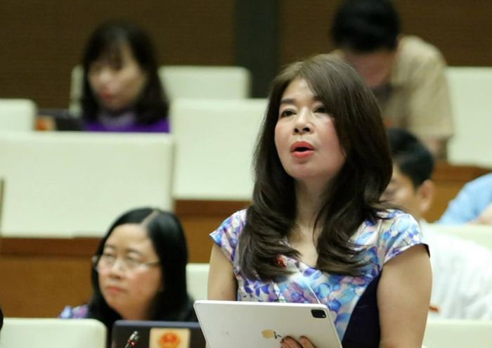 Đại biểu Lê Thu Hà cho rằng mô hình bác sĩ gia đình mới mang tính manh nha tại Việt Nam.