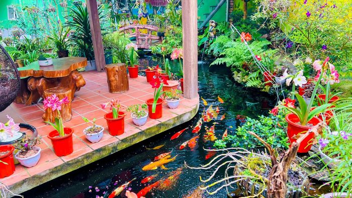  Khu vườn dưới mặt đất của chị Đợi cũng ngập trong màu xanh của cây lá và có đủ loại hoa khoe sắc. 