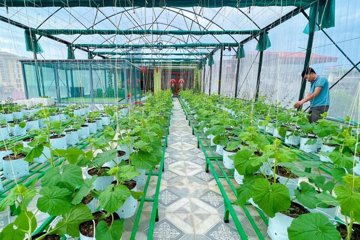  Mất 2 tháng thi công để vợ chồng chị Đợi có được khu vườn trên cao mà mình ao ước. 