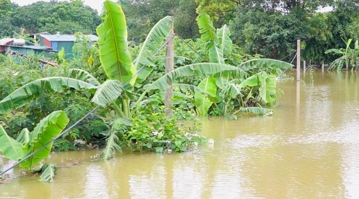 Thời tiết miền Bắc trong những ngày này chủ đạo sẽ là mưa, nên nhiều khả năng mực nước hạ lưu sông Hồng sẽ còn tiếp tục dâng cao.