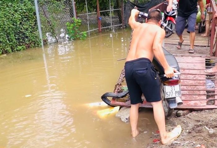  Có 2 đường duy nhất để xuống bãi giữa sông Hồng là từ cầu Long Biên xuống, hai là từ đường An Dương đi vào. Hiện nay, con đường từ An Dương vào đã bị chia cắt bởi nước sâu nên người dân phải di chuyển bằng đò.