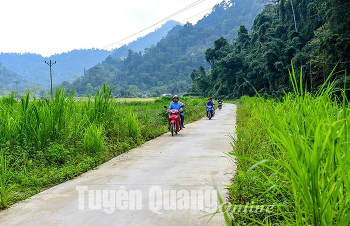 Đường bê tông nông thôn được đầu tư xây dựng khang trang.