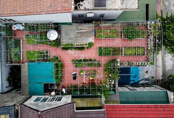 Khu vườn xanh mướt gần 100m2 của chị Thuận nhìn từ trên cao. 