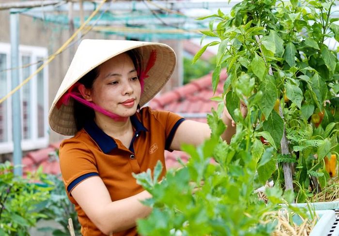 Chị Thuận bên vườn cây đủ màu sắc của gia đình.