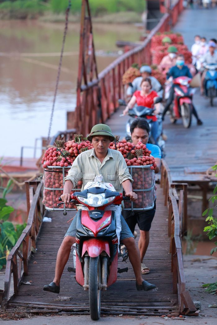 Từ 5h sáng, trên cầu phao chợ phố Kim đã có hàng dài các xe máy chở đầy vải xếp hàng qua sông