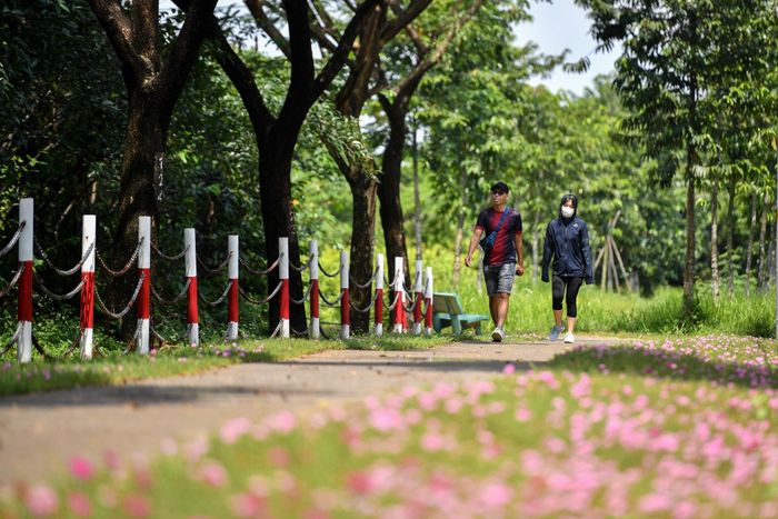 Vợ chồng anh Hiếu (ngụ phường 6) cho biết ngày nào cũng dành khoảng một giờ để vào công viên Văn hóa Gò Vấp đi dạo. "Không khí tại đây mát mẻ và trong lành, khác biệt hoàn toàn với bên ngoài. Tuy nhiên, tại đây vẫn thiếu nhiều khu vui chơi và biển cảnh báo an toàn cho trẻ em", anh Hiếu chia sẻ.