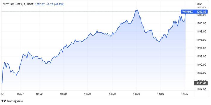 Chứng khoán đi lên bất ngờ nhờ lực cung cạn kiệt. Đồ thị: TradingView.