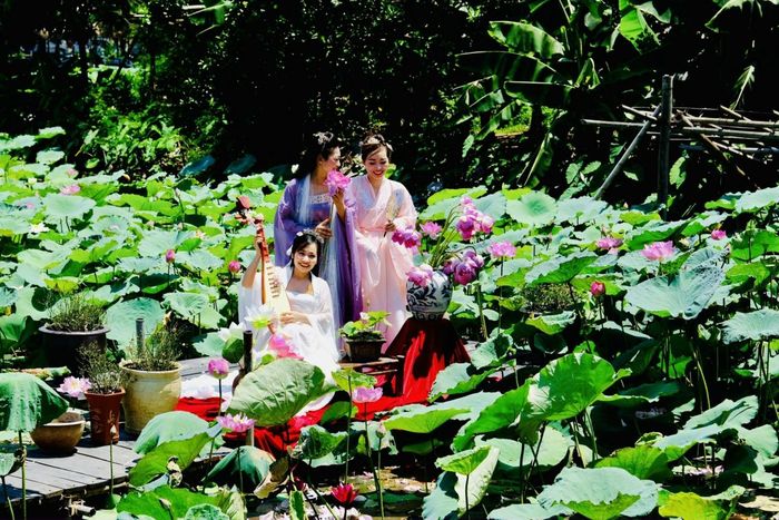 Các "người mẫu và nhiếp ảnh gia" tác nghiệp trên các đầm sen ven phố Phố Trịnh Công Sơn