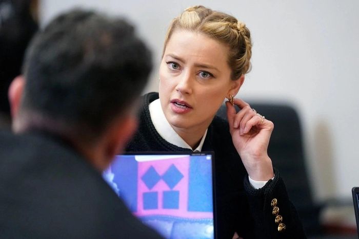 Vụ mang thú cưng nhập cảnh trái phép ở Australia từ năm 2015 đang khiến Amber Heard lâm vào thế khó.