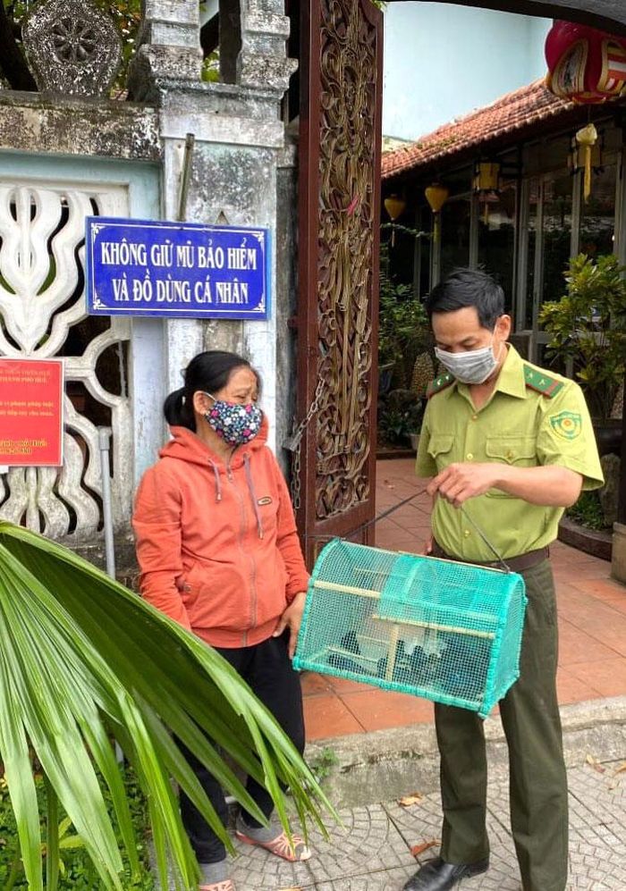Thu giữ chim trời bày bán tại cổng chùa