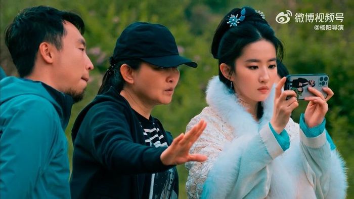  Trên QQ, Lưu Diệc Phi chia sẻ Triệu Phán Nhi có một số nét tính cách phản ánh con người cô ở hiện tại. Trang Mtime nhận định lựa chọn Mộng hoa lục là nước cờ khôn ngoan của nữ diễn viên. Kịch bản được đánh giá phù hợp với độ tuổi, khai thác thế mạnh nổi bật về vũ đạo, múa kiếm và khí chất cổ trang của Lưu Diệc Phi. 