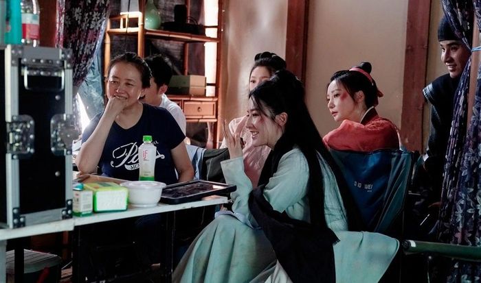  Theo Sohu, Mộng hoa lục giúp Lưu Diệc Phi, Trần Hiểu và Liễu Nham vực dậy danh tiếng. Đặc biệt thành công của dự án giúp "thần tiên tỷ tỷ" chấm dứt chuỗi phim thất bại. Cô được đánh giá uyển chuyển, biết tiết chế hơn trong diễn xuất. 