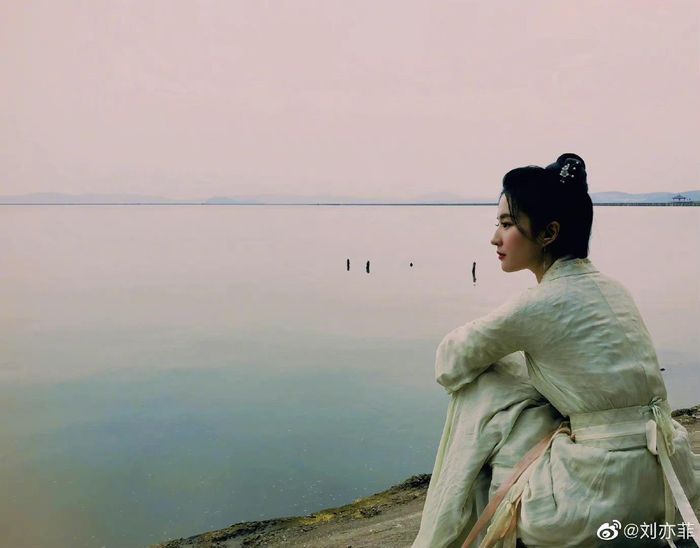 Lưu Diệc Phi bị công kích suốt 2 tuần vì dư luận nghi vấn cô làm giả thông tin cá nhân, gian lận học vấn. Trong thời gian bị khán giả tẩy chay, nữ diễn viên giữ im lặng. Ồn ào đời tư của cô chỉ lắng xuống khi Học viện Điện ảnh Bắc Kinh có thông báo khẳng định nữ diễn viên đủ tư cách nhập học với vai trò du học sinh.
