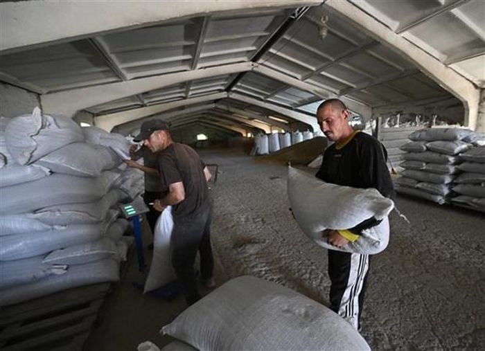 Nông dân xếp ngũ cốc tại kho ở vùng Mykolaiv (Ukraine), ngày 11/6/2022. (Ảnh: AFP/TTXVN)