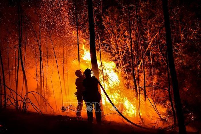 Nhân viên cứu hỏa nỗ lực khống chế đám cháy ở Besseges, miền nam nước Pháp, ngày 7/7/2022. Ảnh: AFP/TTXVN