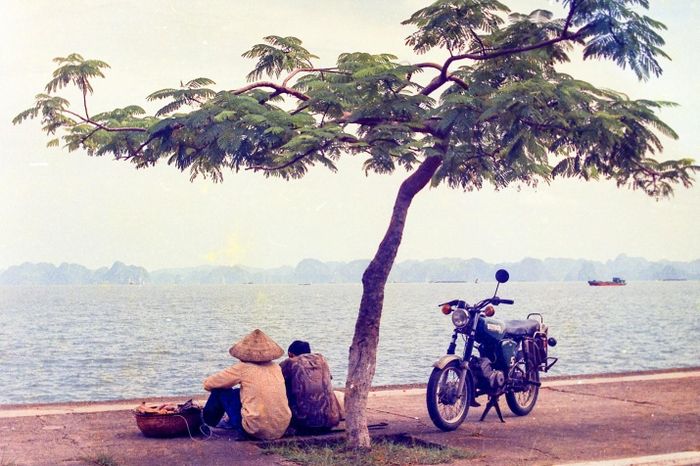 Vịnh Hạ Long (đoạn đường từ Bưu điện Bãi Cháy tới bến phà Bãi Cháy). Ảnh chụp năm 1995