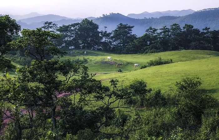 Một góc đồi Khau Sao.