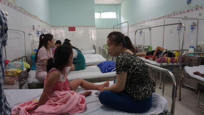TP Hồ Chí Minh chuẩn bị các kịch bản sẵn sàng đảm bảo công tác thu dung điều trị sốt xuất huyết.