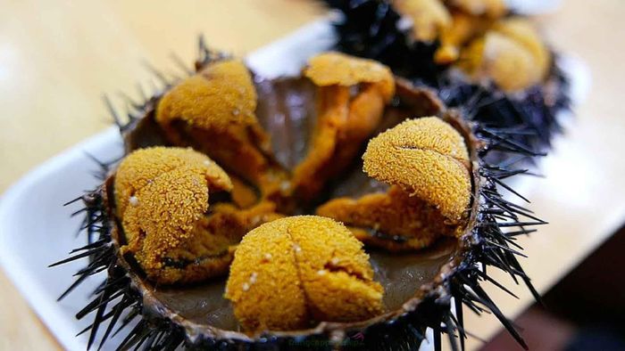 Theo người bán, khách mua trứng cầu gai chủ yếu là giới nhà giàu hoặc mua làm quà tăng. Đây là mặt hàng hiếm, khách phải đặt trước cả tuần mới có hàng. Ảnh: Internet