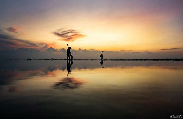 Trước bình minh, khi con nước thủy triều đã xuống, người dân cào ngao trên những doi cát mịn. Ảnh: Trương Đình Anh