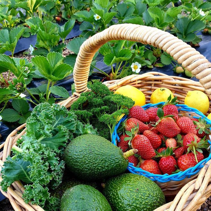 Góc thành quả sau thời gian chăm chút