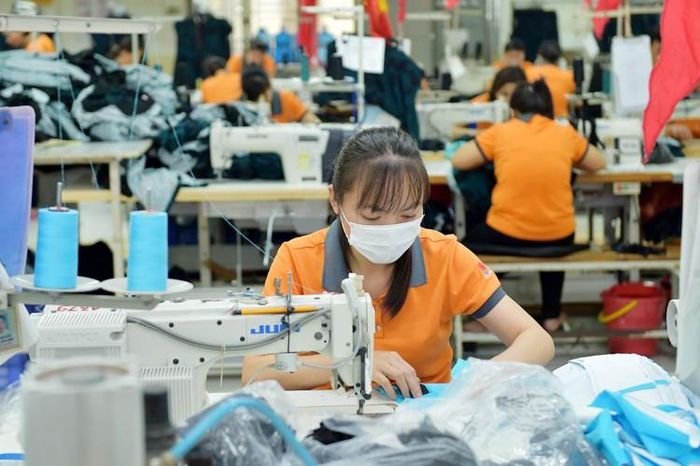 Đáp ứng các quy tắc xuất xứ đẩy mạnh xuất khẩu sang các thị trường thành viên EVFTA