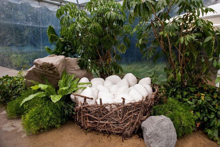 Cũng như lâu đài khổng lồ theo chủ đề khủng long, những chiếc gối màu trắng được đặt trong một cái tổ dùng làm trứng khủng long cho trẻ em chơi đùa. Một hố hóa thạch đã có sẵn để trẻ em trải nghiệm cuộc sống của các nhà khảo cổ, một trạm phục vụ nước ép trái cây, đồ ăn nhẹ được trang trí bằng móng vuốt và trứng khủng long. Ảnh: Kim Kardashian.