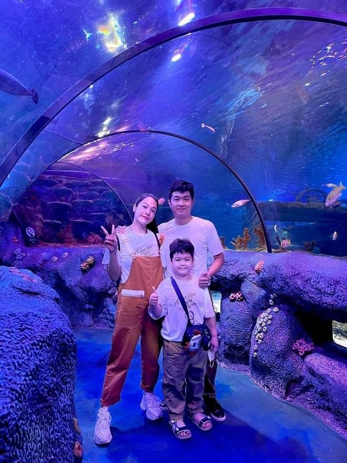 Sau những ồn ào trong quá khứ, Nhật Kim Anh và người cũ có vẻ nha đã hòa giải, giữ mối quan hệ tốt đẹp để nuôi dưỡng con trai chung.