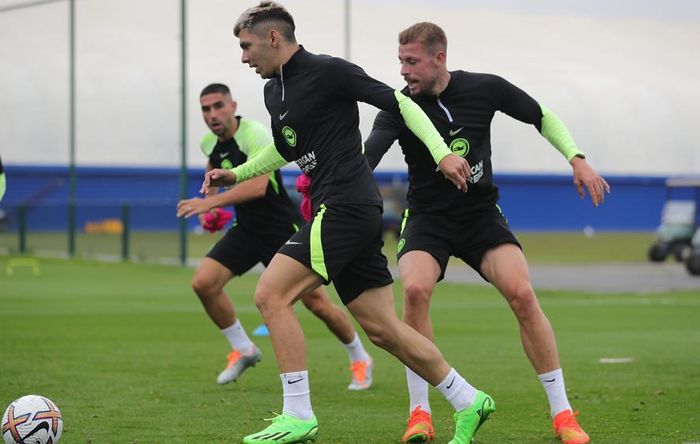 Brighton mất đi 2 trụ cột hè qua