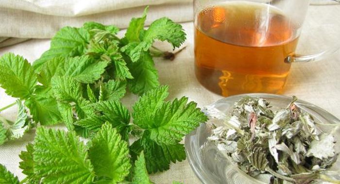 Những người muốn sinh mổ không nên uống trà lá mâm xôi.