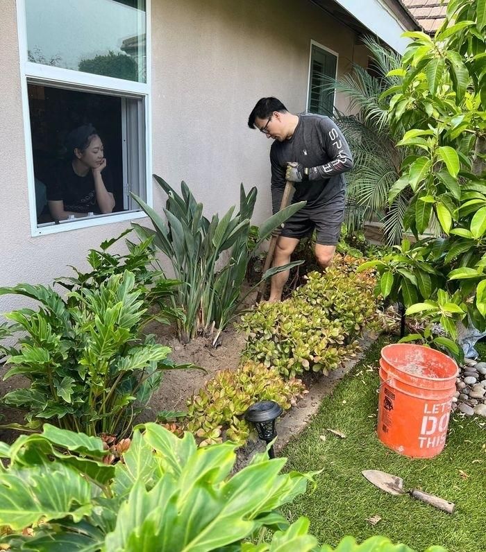 "Vua cá Koi" không ngại giúp vợ chăm sóc cơ ngơi sân vườn 600m2 tại Mỹ. Ảnh: FB Thang Ngo