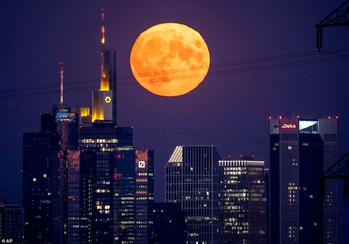 Mặt trăng như thể đang treo lơ lửng bên trên các tòa nhà chọc trời ở Frankfurt, Đức. Ảnh: AP.