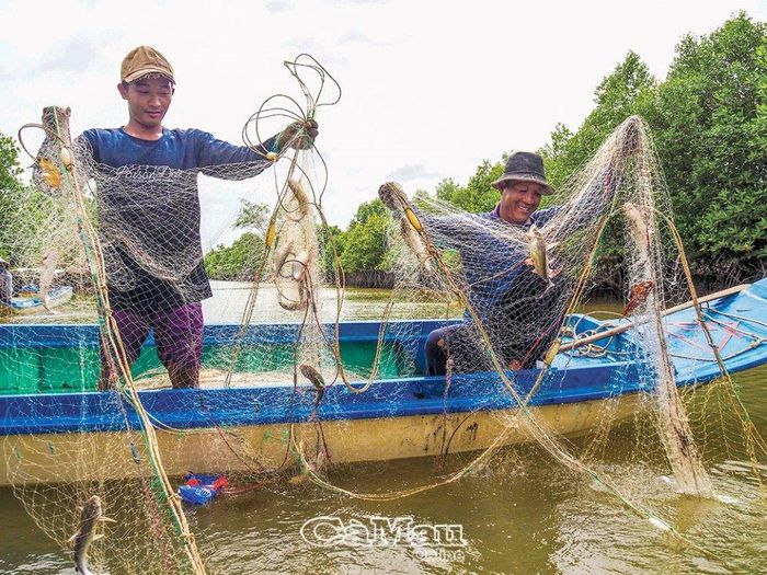 Anh Nguyễn Hoàng Thuận và anh Ðỗ Minh Dẻo (Chợ Thủ, Tam Giang Tây, huyện Ngọc Hiển) phấn khởi khi giăng trúng luồng đi của bầy cá úc, bắt được khá nhiều cá.