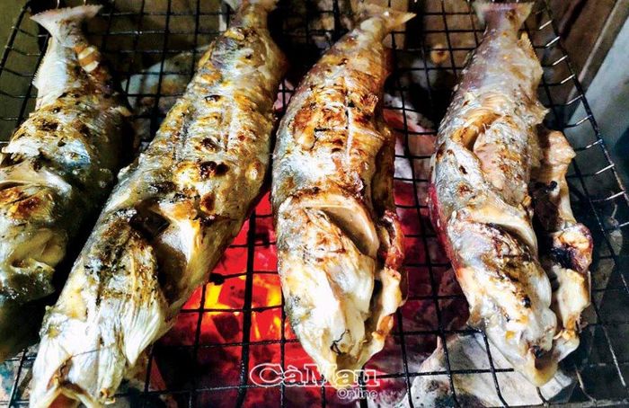 Món cá úc nướng than rất thơm, béo, đặc biệt ngon khi ăn kèm rau sống nước mắm chua ngọt hoặc nước mắm gừng.