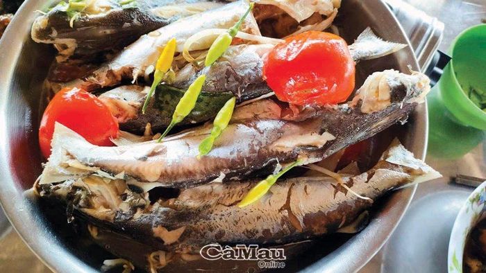 Món lẩu chua cá úc khá hấp dẫn, góp thêm món ăn ngon cho bữa cơm gia đình.