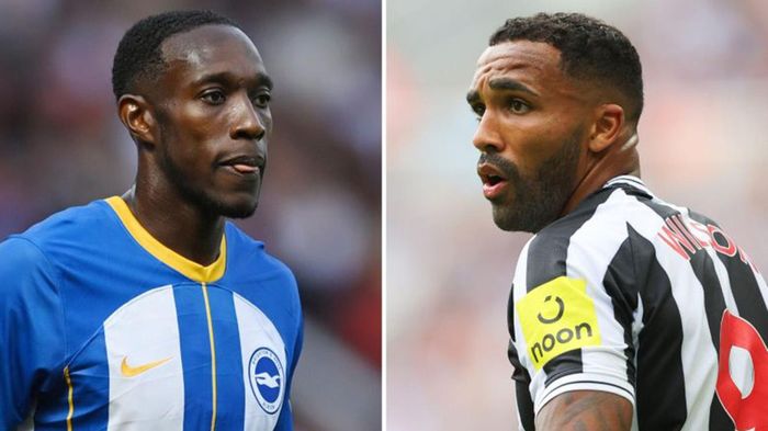 Brighton vs Newcastle