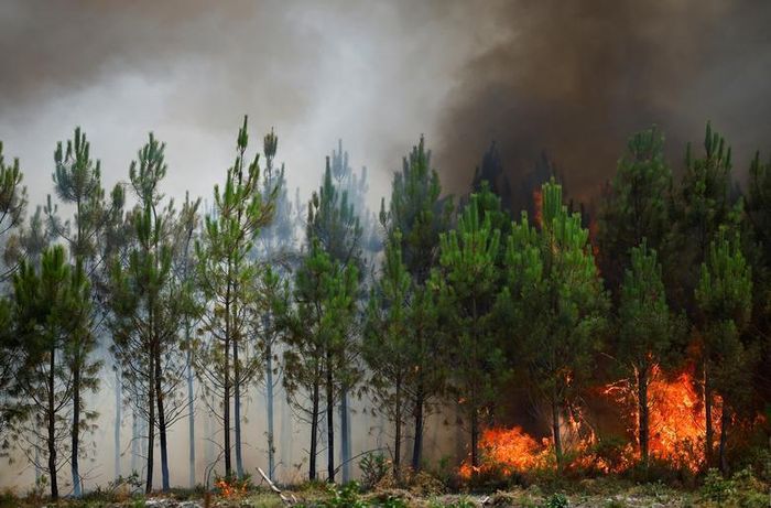 Người phát ngôn Sở cứu hỏa thành phố cho biết, chưa bao giờ khu vực Gironde, nơi có những vườn nho Bordeaux, lại khô và nóng như vậy