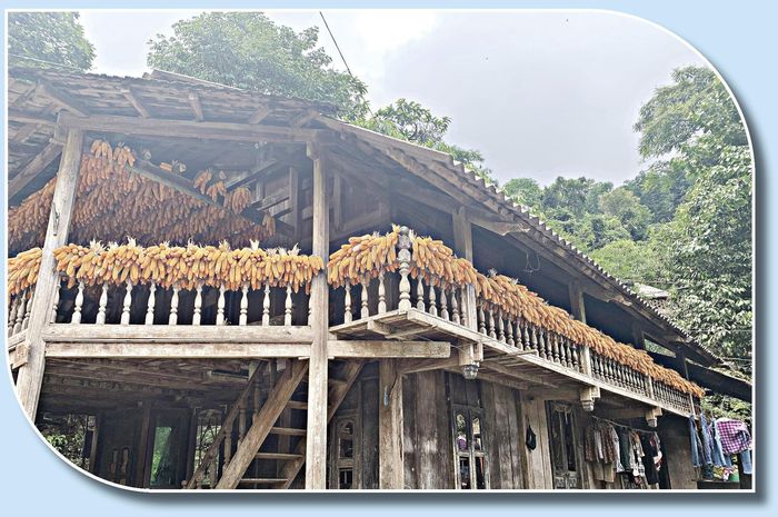 Người dân Nậm Cang giữ nếp nhà truyền thống để phát triển du lịch.