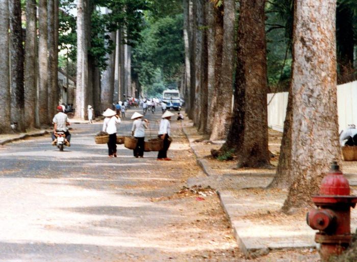 Những người bán hàng rong rảo bước dưới lòng đường đầy lá rụng.