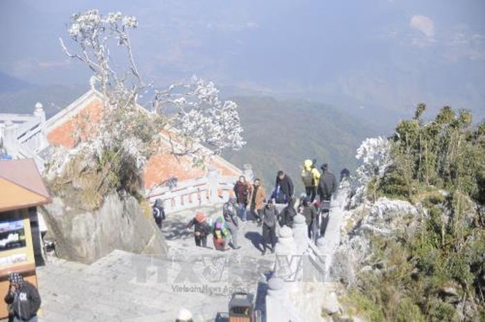 Băng tuyết phủ trắng đỉnh Fansipan.