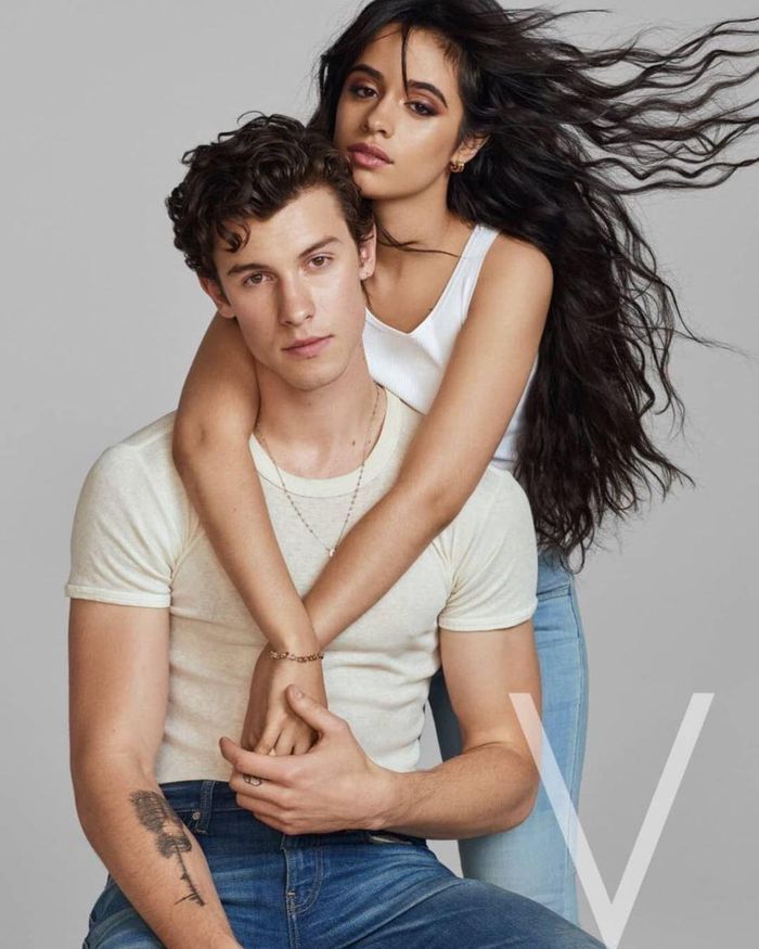 Camila Cabello và Shawn Mendes ngày còn mặn nồng