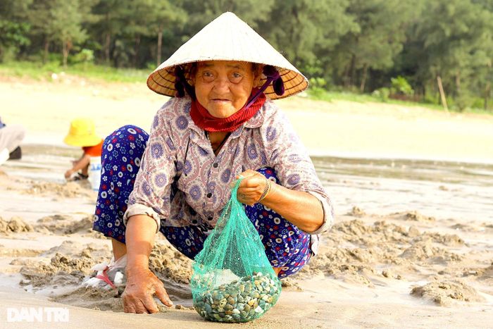 Cụ bà này dùng đôi bàn tay chai sần để bới cát tìm nhặt ngao.