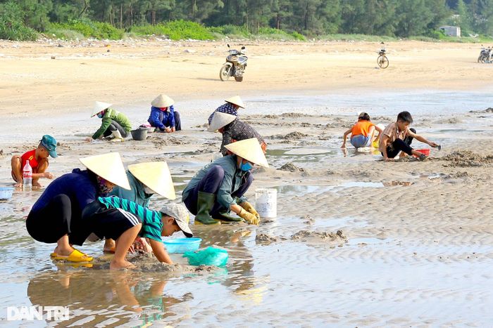 Theo người dân địa phương, người cào bắt ngao ở đây chủ yếu mang về ăn, một số mang ra chợ hoặc bán tại chỗ cho du khách. Nhiều người xem việc cào ngao như buổi tập thể dục buổi sáng, lại kiếm thêm thu nhập, có bát canh ngọt cho bữa cơm gia đình.