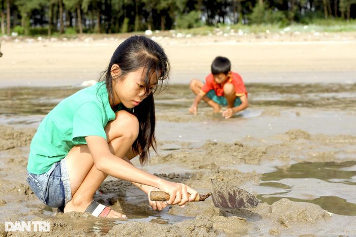 Bên cạnh những người già, còn có cả trẻ em, chủ yếu các em học sinh tranh thủ đang nghỉ hè theo bố mẹ ra bãi biển để bới cát tìm ngao.