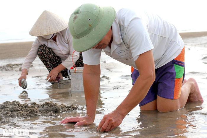 Theo người dân địa phương, nghề bới cát tìm ngao, sò… phải tranh thủ, bắt đầu việc từ tinh mơ, khi nước thủy triều bắt đầu rút. Người bới ngao mang theo xô, chậu, cuốc xẻng, thậm chí cả những chiếc thìa xới cơm, đĩa sắt ra bãi biển để hành nghề, kiếm thêm thu nhập...