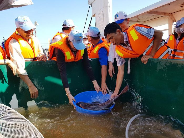 Thả cá về tự nhiên để tái tạo nguồn lợi thủy sản
