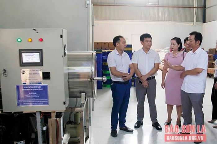 Kiểm tra, nghiệm thu máy sấy thăng hoa tại Công ty TNHH Bảo Gia 26.