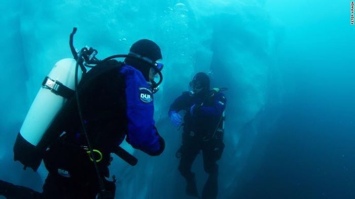 Các nhà khoa học lặn ra vùng biển cực ngoài khơi Greenland để nghiên cứu. Ảnh: CNN.