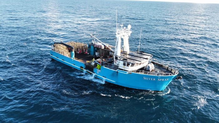  Cua tuyết, nguồn thu nhập trụ cột của các đội thuyền đánh bắt cua Alaska, bị giới hạn còn khoảng 2,5 triệu kg trong mùa đánh bắt 2021. Ảnh: Gabriel Prout. 